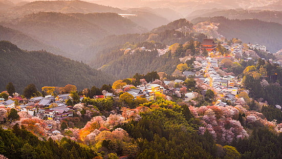 árboles, montañas, primavera, Japón, Sakura, floración, Fondo de pantalla HD HD wallpaper