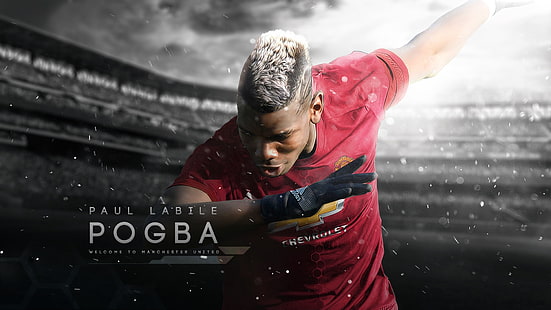 Paul Labile Pogba, carta da parati, sport, stadio, calcio, Manchester United, giocatore, Paul Pogba, Sfondo HD HD wallpaper