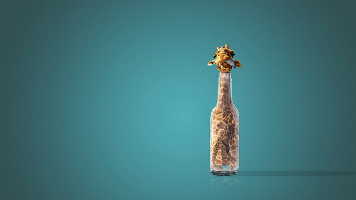 Giraffen, Flaschen, Zungen, HD-Hintergrundbild