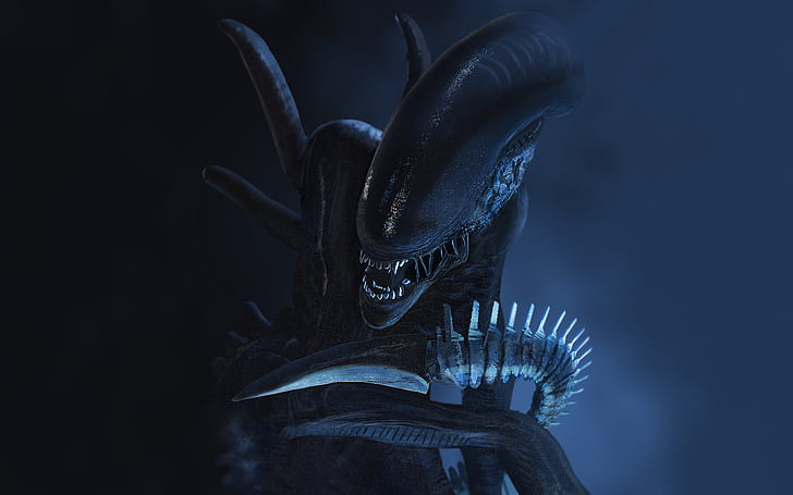 Alien, Xenomorph, Fondo de pantalla HD