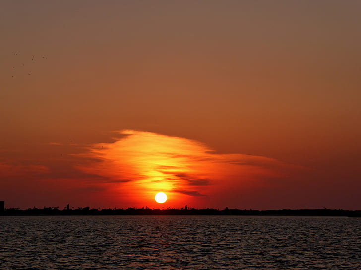 Florida, spiaggia, orizzonte, tramonto, Sfondo HD