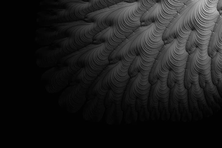 dunkel, Adi Dizdarevic, fraktal, monochrom, HD-Hintergrundbild
