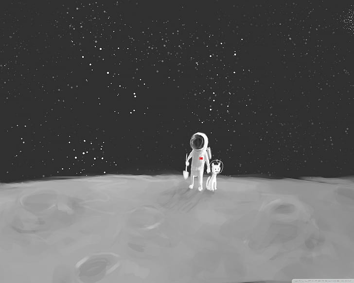 astronauta, zwierzak, kosmos, Tapety HD