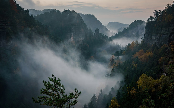 dağlar, doğa, orman, sis, Philipp Zieger, İsviçre, HD masaüstü duvar kağıdı
