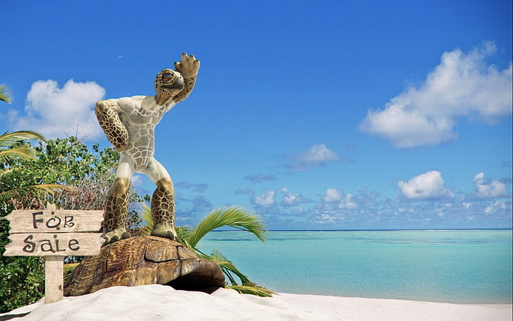 In vendita, tartaruga grigia e verde in piedi sulla carta da parati di sabbia, divertente, spiaggia, tartaruga, estate, aspettare, Sfondo HD