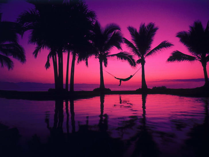 Hammocks, Palm Trees, Relaxation, relaxing, HD wallpaper