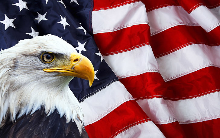 Bandiera americana e aquila calva Simboli fotografici del Nord America 3840 × 2400, Sfondo HD
