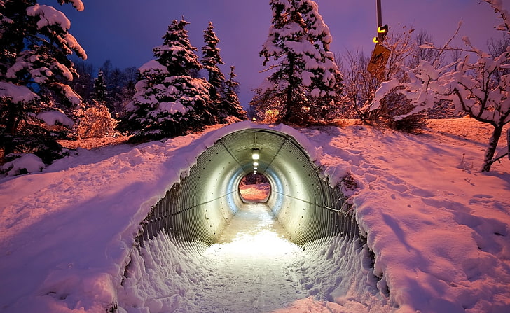 gray steel tunnel, photography, nature, winter, trees, tunnel, snow, night, HD wallpaper