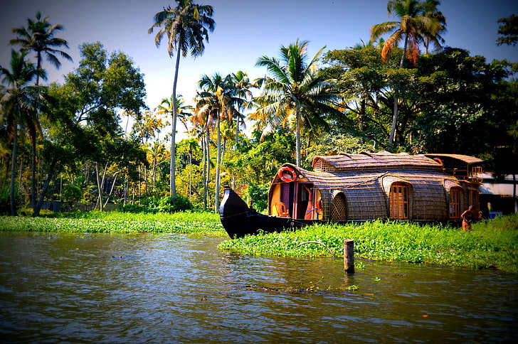 barche, noci di cocco, case galleggianti, kerala, alberi, acqua, Sfondo HD