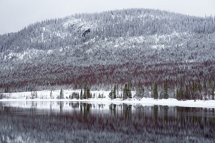 weißes und graues Betongebäude, Natur, Wasser, Schnee, Bäume, HD-Hintergrundbild