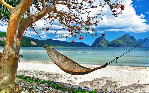 Tropical relaxar na praia, tropical, relaxar, praia, melhor, HD papel de parede HD wallpaper