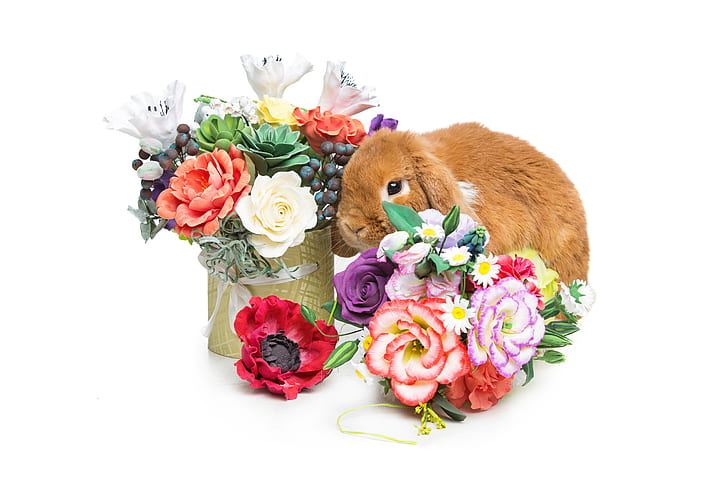 flowers, basket, rabbit, Easter, happy, spring, eggs, bunny, decoration, HD wallpaper