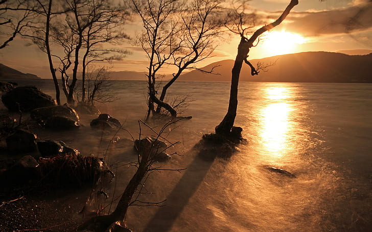 호수 나무 햇빛 일몰 HD, 나무, 자연, 일몰, 햇빛, 호수, 나무의 실루엣, HD 배경 화면