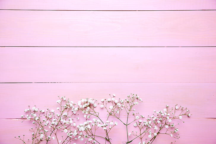 flowers, background, pink, white, wooden, spring, tender, floral, HD wallpaper