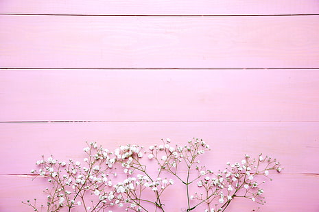 blommor, bakgrund, rosa, vit, trä, vår, öm, blommig, HD tapet HD wallpaper