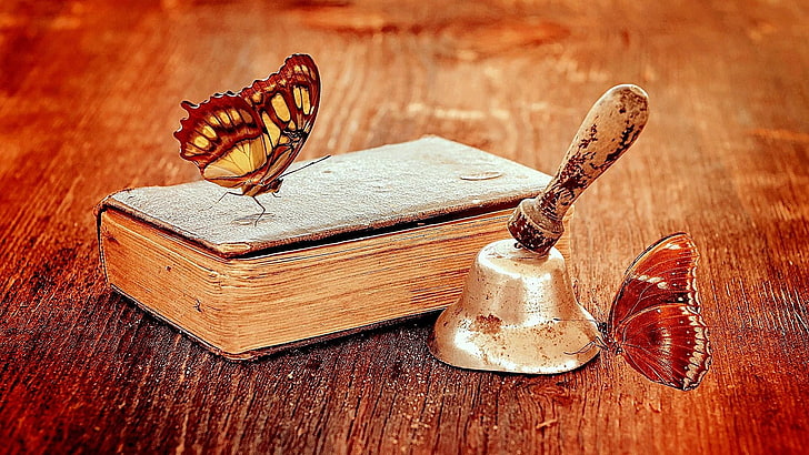 vintage, book, butterflies, butterfly, vint bookage, wooden, still life, wood, imagination, antique, HD wallpaper