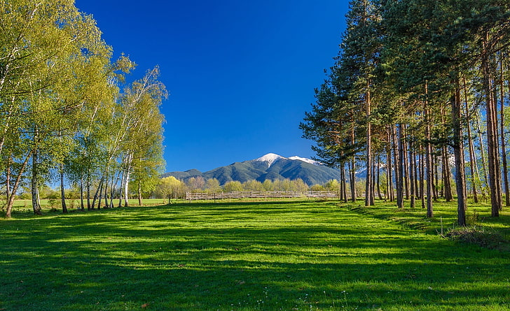 Pewnego słonecznego dnia w Bułgarii, zielone drzewa liściaste, Europa, Bułgaria, trawa, niebo, krajobraz, przyroda, góry, drzewa, las, Tapety HD