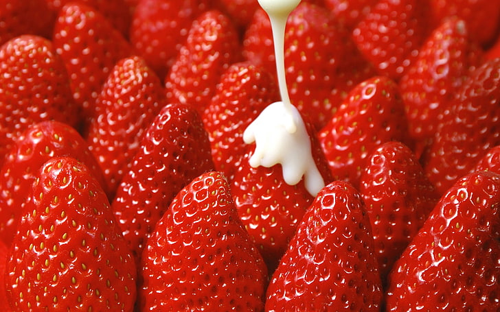 strawberries, fruit, Cream, food, HD wallpaper