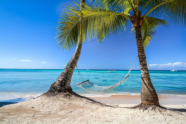 hammock abu-abu di antara dua pohon kelapa abu-abu, fotografi, lanskap, alam, tropis, pantai, pohon-pohon palem, tempat tidur gantung, Karibia, laut, musim panas, pasir, perahu layar, pulau, Republik Dominika, cyan, horizon, Wallpaper HD