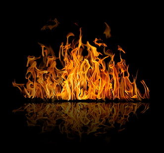 red flame, reflection, background, fire, flame, black, HD wallpaper HD wallpaper