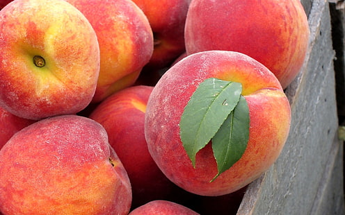 Peach fruit close-up, red peach lot, Peach, Fruit, HD wallpaper HD wallpaper