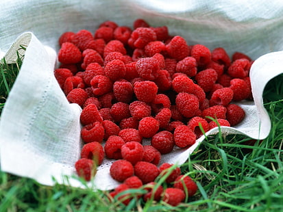 red raspberry fruits, raspberries, berries, delicious, HD wallpaper HD wallpaper