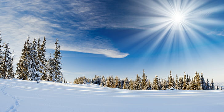 الشتاء والثلج والمناظر الطبيعية، خلفية HD