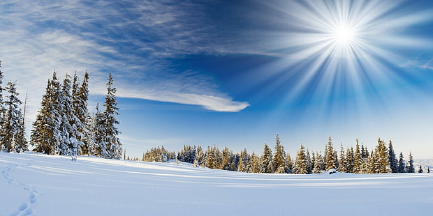 musim dingin, salju, pemandangan, Wallpaper HD HD wallpaper