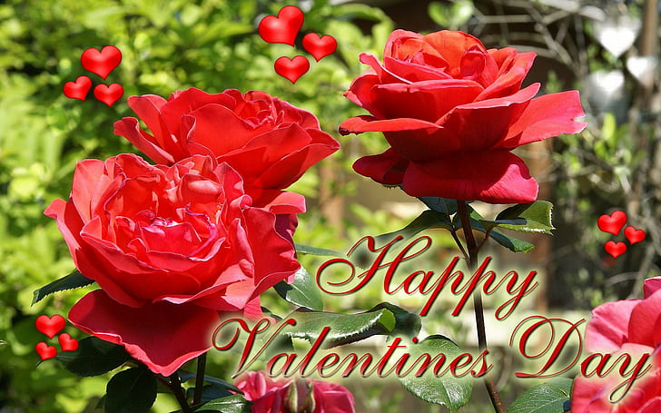 Happy Valentine Day, roses, valentine, happy, nature and landscapes, HD wallpaper