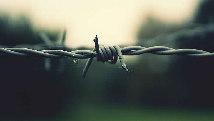 gray barbed wire, gray metal wire, wire, barbed wire, HD wallpaper