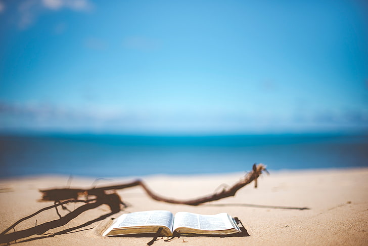 природа, вода, пляж, книги, HD обои