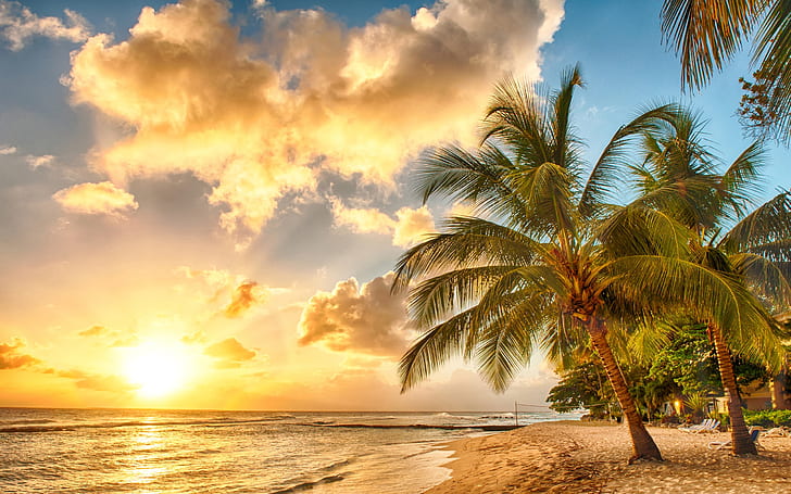 Tropical, paraíso, praia, palmeiras, mar, oceano, pôr do sol, Tropical, paraíso, praia, mar, oceano, pôr do sol, palm, HD papel de parede