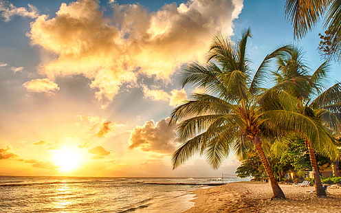 Tropical, paraíso, playa, palmeras, mar, océano, puesta de sol, tropical, paraíso, playa, mar, océano, puesta de sol, palma, Fondo de pantalla HD HD wallpaper