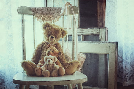 teddy bears, HD wallpaper HD wallpaper