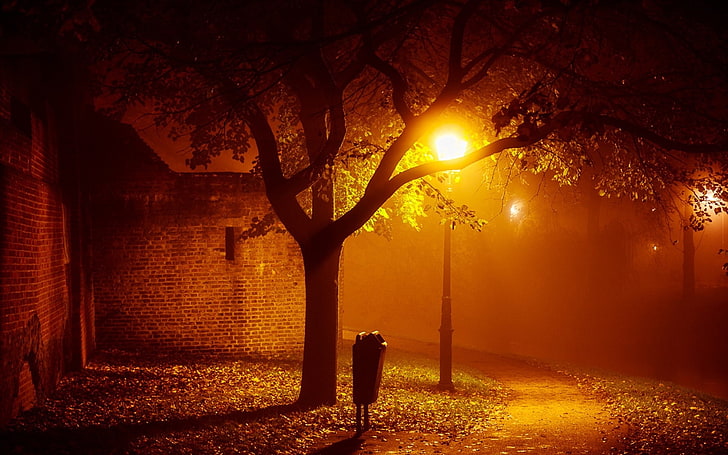 architecture, autumn, buildings, fall, fog, houses, lamp posts, lamps, landscapes, lights, mist, mood, night, photography, places, seasonal, trees, HD wallpaper