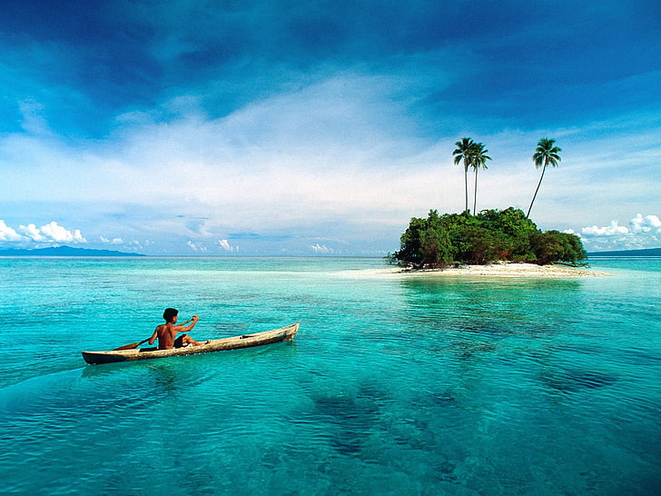 barco marrom e branco no corpo de água, costa, ilha, palmeiras, mar, tropical, homens, canoas, HD papel de parede