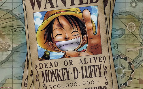 One Piece Monkey D Luffy, One Piece, anime, macaco D. Luffy, HD papel de parede HD wallpaper