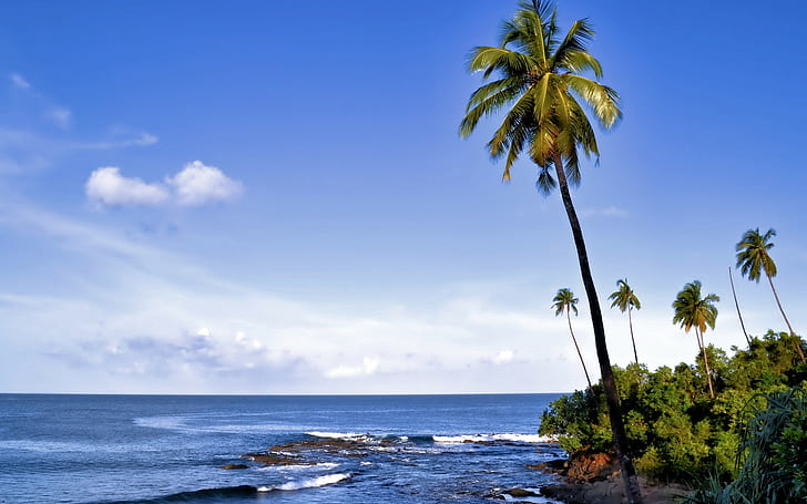 природа, пейзаж, палми, остров, крайбрежие, HD тапет