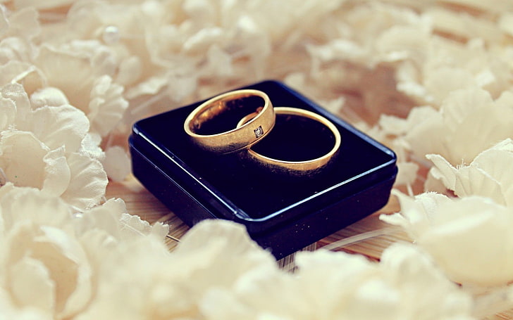 два золотых кольца, любовь, кольца, HD обои