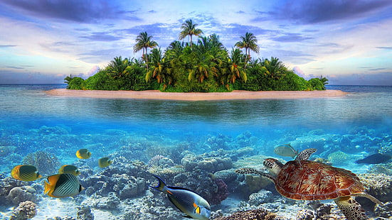 熱帯の島モルディブヤシの木サンディビーチ水中世界カメ魚サンゴウルトラHD壁紙デスクトップ携帯電話タブレットとテレビ5200×2925、 HDデスクトップの壁紙 HD wallpaper