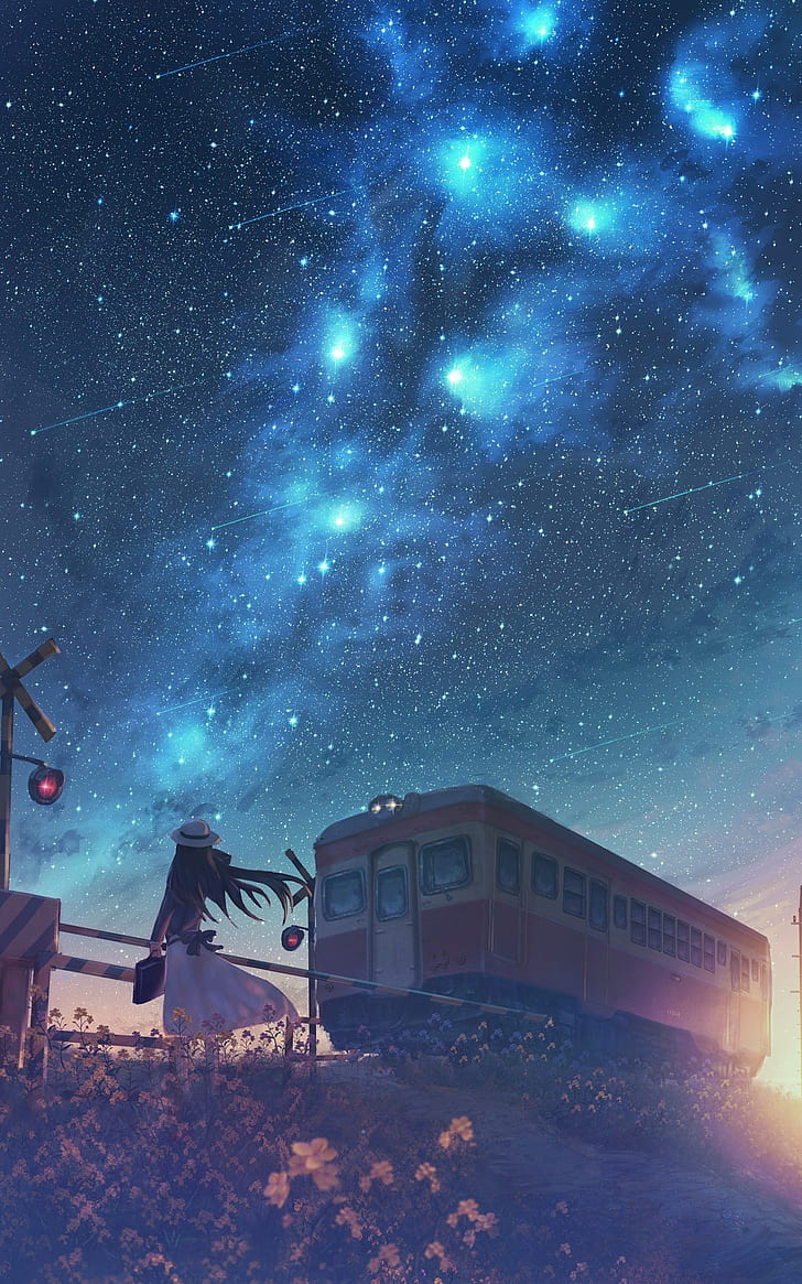 anime, anime girls, original characters, starry night, railway crossing, emotion, stars, night, HD wallpaper