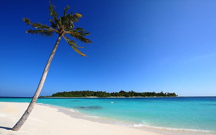 Малдивски плаж HD, плаж, малдивски, HD тапет