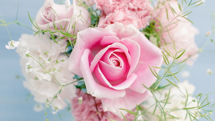 rose, pink, bouquet, flower, blossom, floral, petal, love, valentine, plant, petals, flowers, flora, spring, roses, bloom, bud, garden, romance, leaf, gift, wedding, close, botanical, bright, HD wallpaper