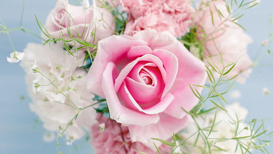 rose, pink, bouquet, flower, blossom, floral, petal, love, valentine, plant, petals, flowers, flora, spring, roses, bloom, bud, garden, romance, leaf, gift, wedding, close, botanical, bright, HD wallpaper HD wallpaper