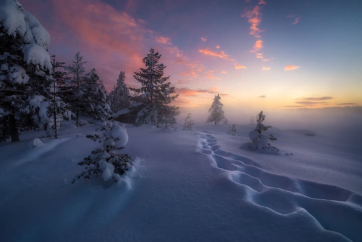 зима, снег, деревья, следы, Норвегия, сугробы, РИНГЕРИК, HD обои