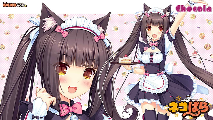 네코 미미, 고양이 소녀, 네코 웍스, 쇼콜라 (네코 파라), 네코 파라, 애니메이션, 사요리, HD 배경 화면