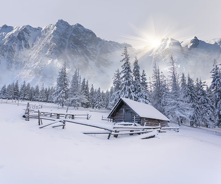 茶色の木製キャビン、冬、雪、山、木、雪、家、小屋、風景、 HDデスクトップの壁紙