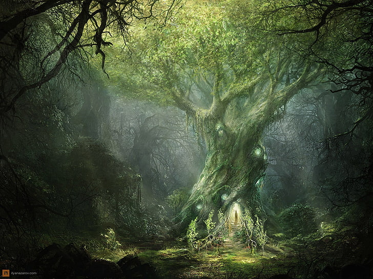 ภาพวาดต้นไม้สีเขียวศิลปะแฟนตาซีป่าไม้, วอลล์เปเปอร์ HD