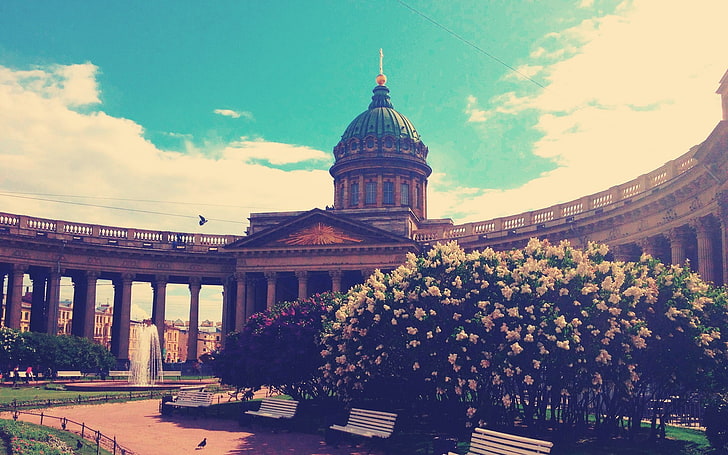 St. Petersburg, architecture, Russia, flowers, HD wallpaper