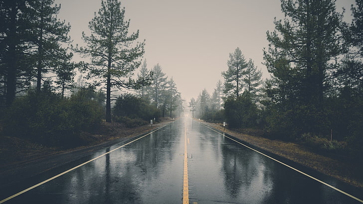 асфалтов път, черен бетонен път, природа, пейзаж, дървета, гора, път, мъгла, дъжд, отражение, HD тапет